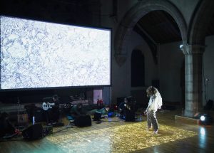 Image credit Maurice Gunning.